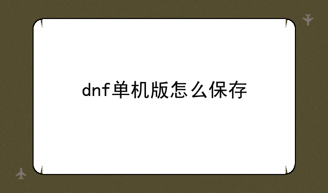 dnf单机版怎么保存