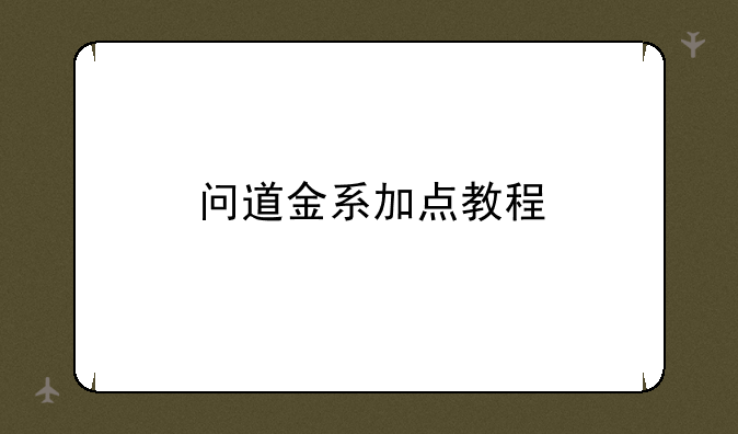 问道金系加点教程
