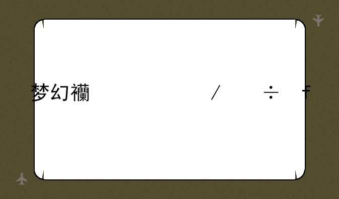 梦幻西游下载器