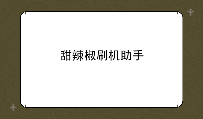 甜辣椒刷机助手