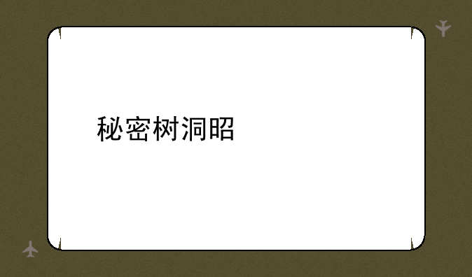 秘密树洞是什么