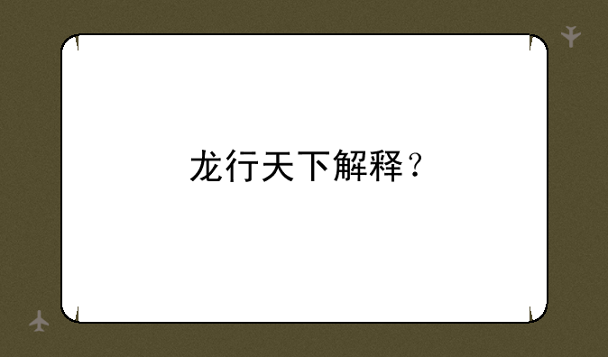 龙行天下解释？