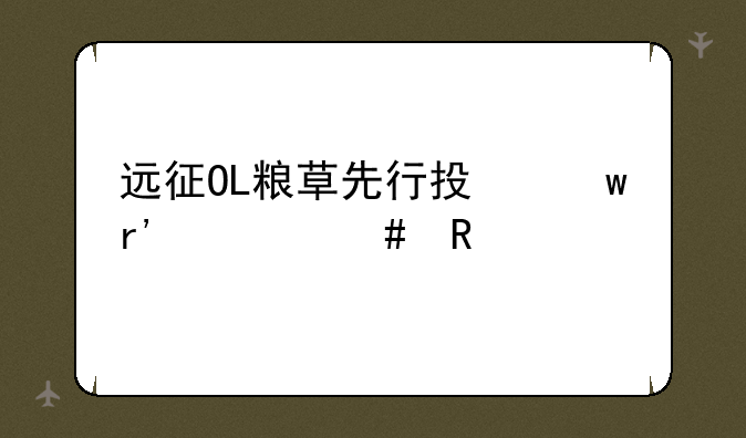 远征OL粮草先行投保有什么用处