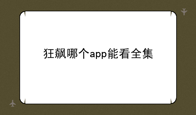 狂飙哪个app能看全集