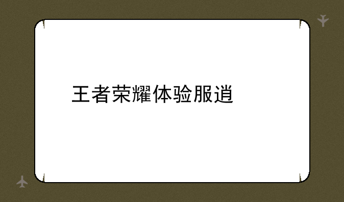 王者荣耀体验服透视