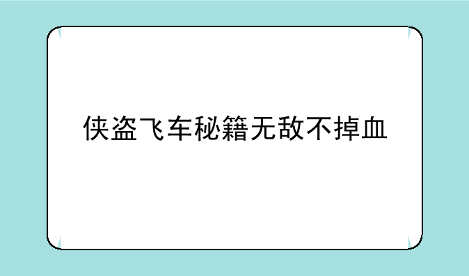 侠盗飞车秘籍无敌不掉血