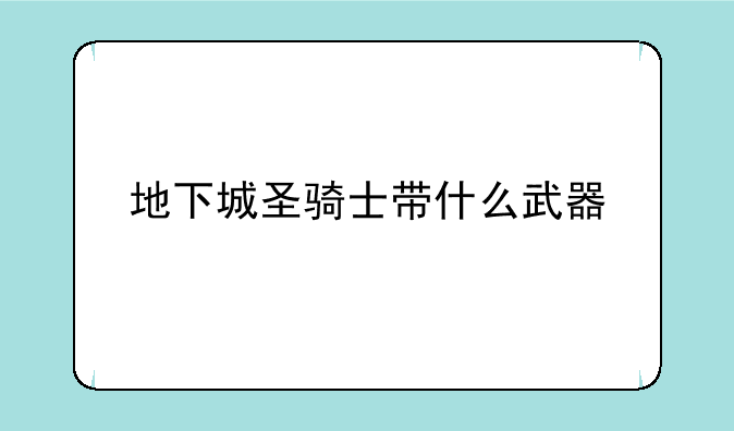 地下城圣骑士带什么武器