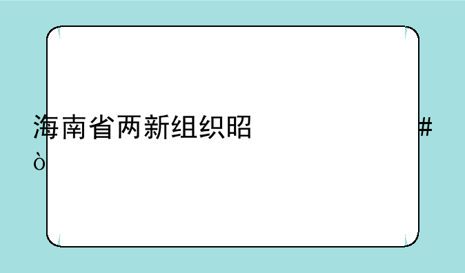 海南省两新组织是什么？