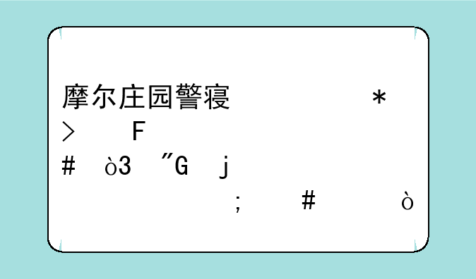 摩尔庄园警察任务古董失窃案，我的密码要怎么破？