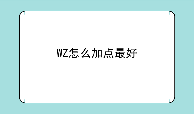WZ怎么加点最好