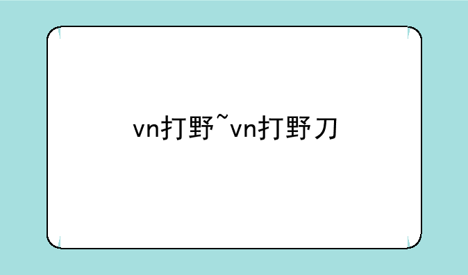 vn打野~vn打野刀