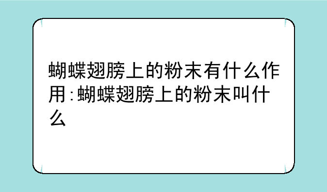 蝴蝶翅膀上的粉末有什么作用:蝴蝶翅膀上的粉末叫什么