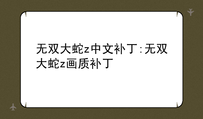 无双大蛇z中文补丁:无双大蛇z画质补丁