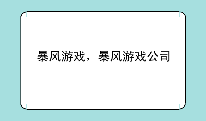 暴风游戏，暴风游戏公司