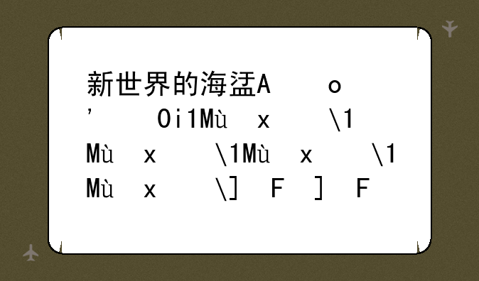新世界的海盗攻略;新世界的海盗怎么买船