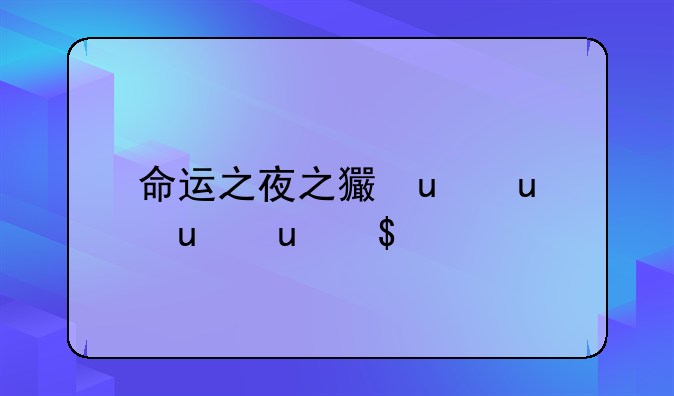 命运之夜之王者