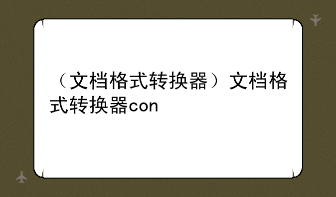 （文档格式转换器）文档格式转换器con