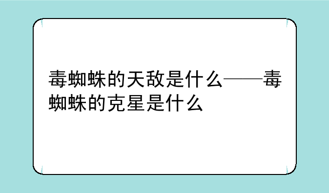 毒蜘蛛的天敌是什么——毒蜘蛛的克星是什么
