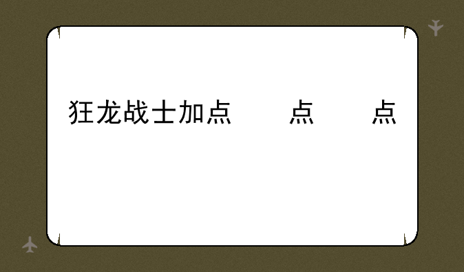 狂龙战士加点，狂龙战士怎么加点